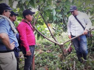 20 familias embera del Parque Nacional Paramillo quieren reactivar cultivos de cacao para mejorar su calidad de vida